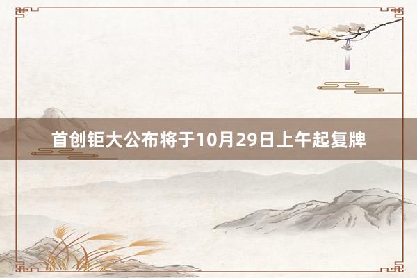 首创钜大公布将于10月29日上午起复牌