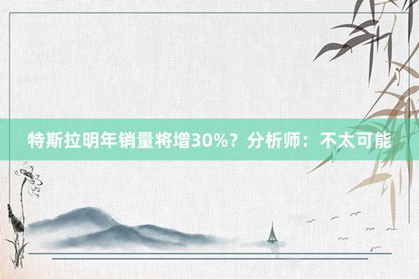 特斯拉明年销量将增30%？分析师：不太可能