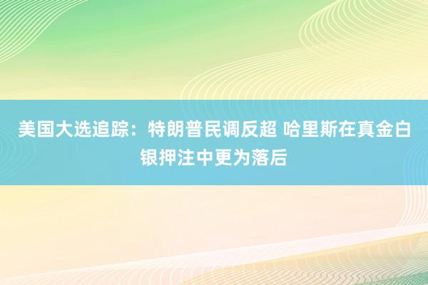 美国大选追踪：特朗普民调反超 哈里斯在真金白银押注中更为落后