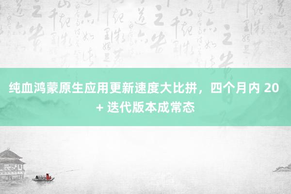 纯血鸿蒙原生应用更新速度大比拼，四个月内 20 + 迭代版本成常态