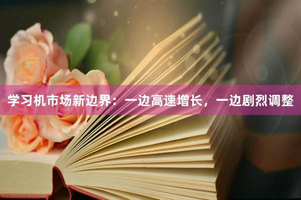 学习机市场新边界：一边高速增长，一边剧烈调整