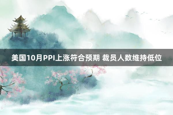 美国10月PPI上涨符合预期 裁员人数维持低位