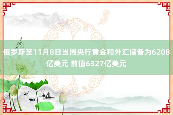 俄罗斯至11月8日当周央行黄金和外汇储备为6208亿美元 前值6327亿美元