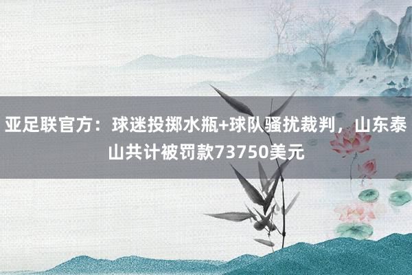 亚足联官方：球迷投掷水瓶+球队骚扰裁判，山东泰山共计被罚款73750美元