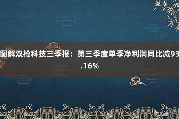 图解双枪科技三季报：第三季度单季净利润同比减93.16%