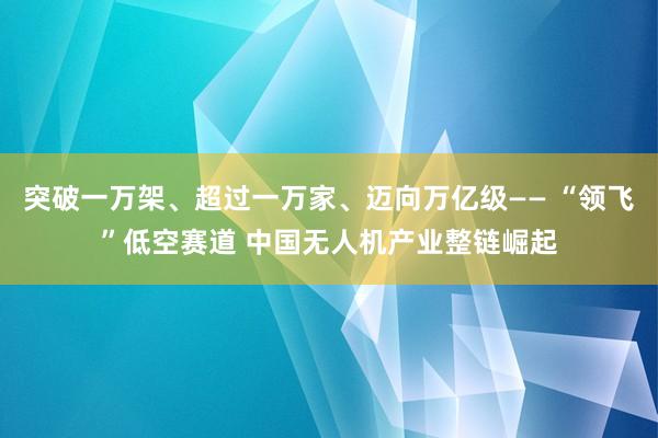 突破一万架、超过一万家、迈向万亿级—— “领飞”低空赛道 中国无人机产业整链崛起