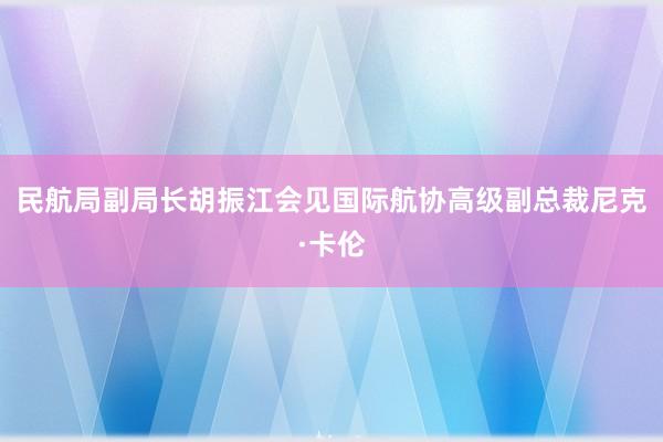 民航局副局长胡振江会见国际航协高级副总裁尼克·卡伦