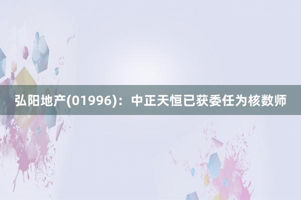 弘阳地产(01996)：中正天恒已获委任为核数师