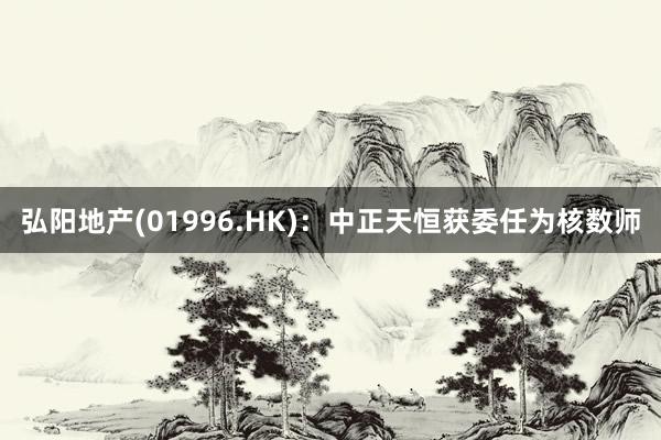 弘阳地产(01996.HK)：中正天恒获委任为核数师