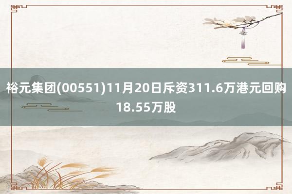 裕元集团(00551)11月20日斥资311.6万港元回购18.55万股