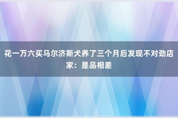 花一万六买马尔济斯犬养了三个月后发现不对劲店家：是品相差