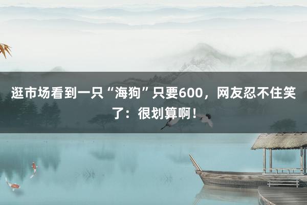 逛市场看到一只“海狗”只要600，网友忍不住笑了：很划算啊！