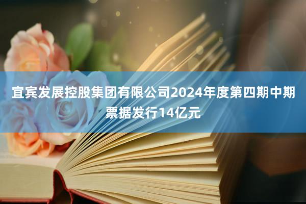 宜宾发展控股集团有限公司2024年度第四期中期票据发行14亿元