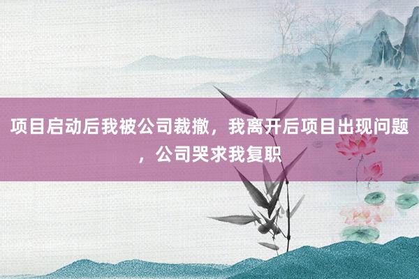 项目启动后我被公司裁撤，我离开后项目出现问题，公司哭求我复职