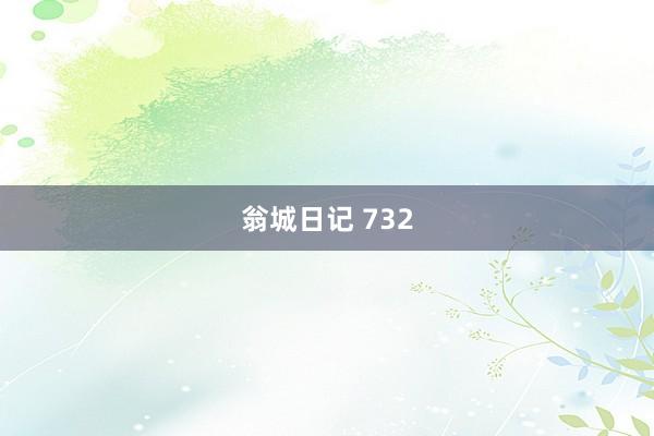 翁城日记 732