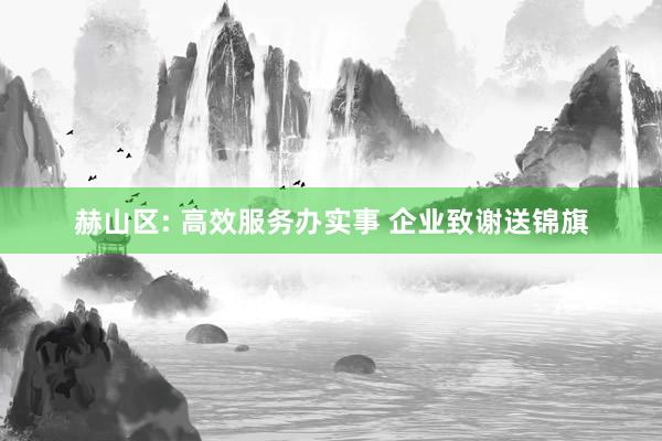 赫山区: 高效服务办实事 企业致谢送锦旗