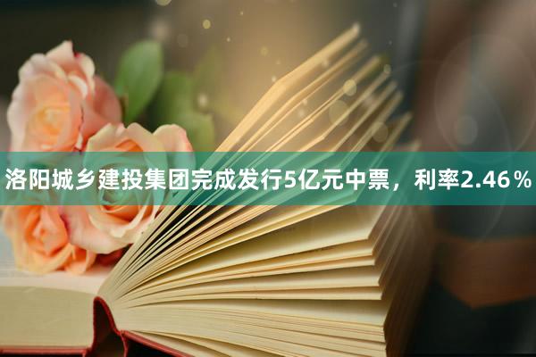 洛阳城乡建投集团完成发行5亿元中票，利率2.46％