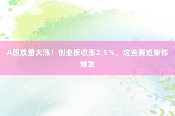 A股放量大涨！创业板收涨2.5％，这些赛道集体爆发