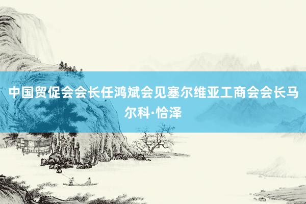 中国贸促会会长任鸿斌会见塞尔维亚工商会会长马尔科·恰泽