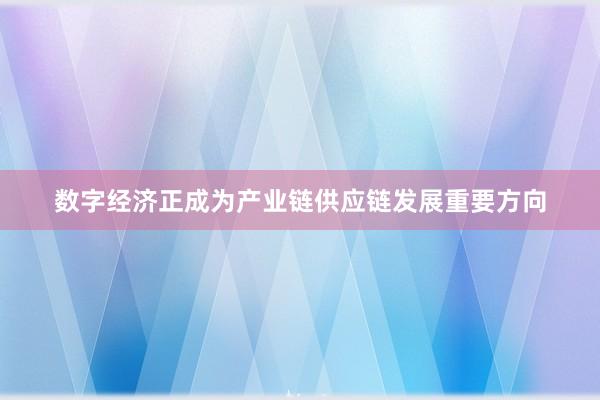 数字经济正成为产业链供应链发展重要方向