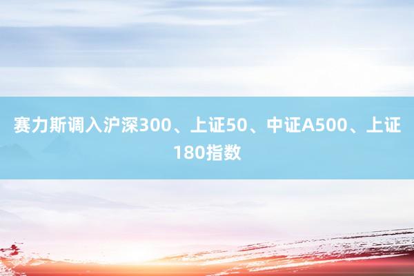 赛力斯调入沪深300、上证50、中证A500、上证180指数