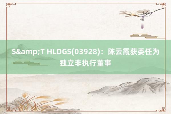 S&T HLDGS(03928)：陈云霞获委任为独立非执行董事