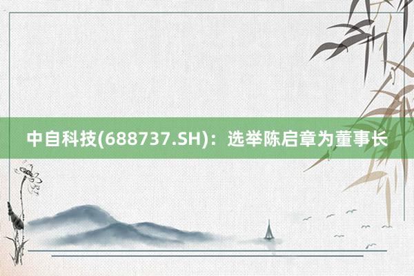 中自科技(688737.SH)：选举陈启章为董事长