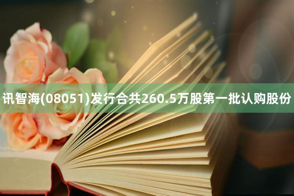 讯智海(08051)发行合共260.5万股第一批认购股份