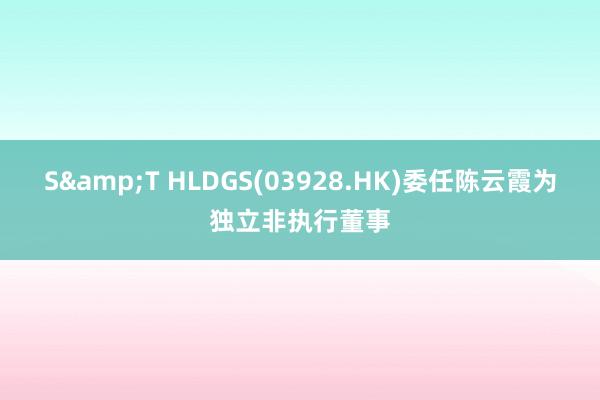 S&T HLDGS(03928.HK)委任陈云霞为独立非执行董事