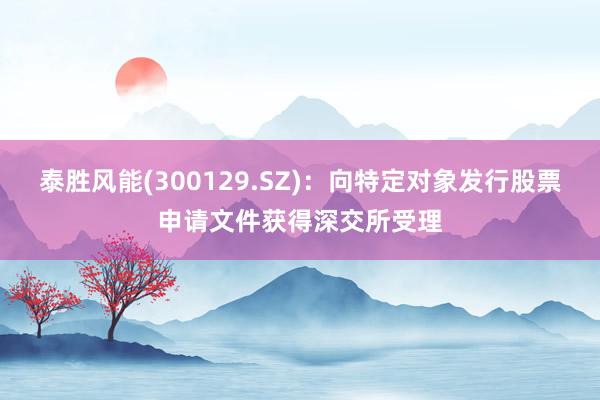 泰胜风能(300129.SZ)：向特定对象发行股票申请文件获得深交所受理