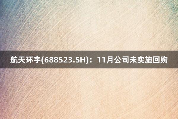 航天环宇(688523.SH)：11月公司未实施回购