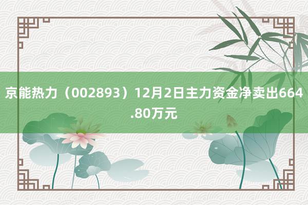 京能热力（002893）12月2日主力资金净卖出664.80万元