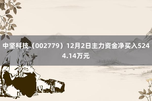 中坚科技（002779）12月2日主力资金净买入5244.14万元