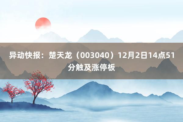 异动快报：楚天龙（003040）12月2日14点51分触及涨停板