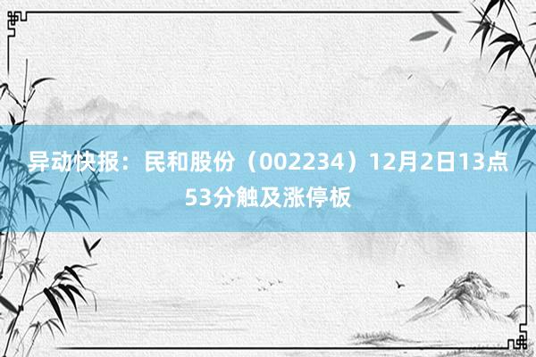 异动快报：民和股份（002234）12月2日13点53分触及涨停板