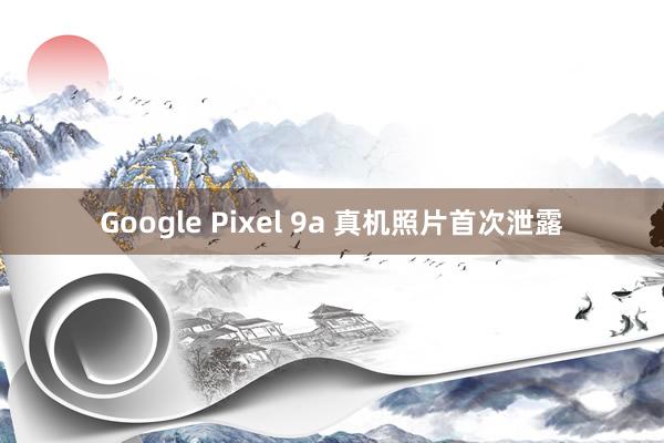 Google Pixel 9a 真机照片首次泄露