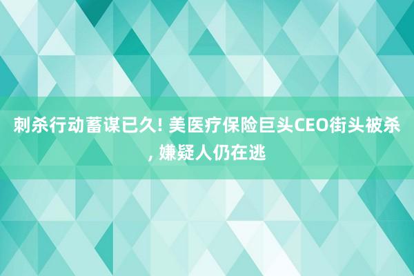 刺杀行动蓄谋已久! 美医疗保险巨头CEO街头被杀, 嫌疑人仍在逃