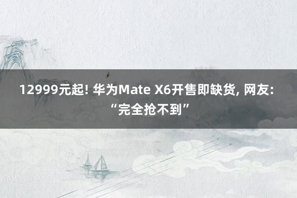 12999元起! 华为Mate X6开售即缺货, 网友: “完全抢不到”