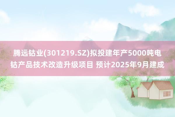 腾远钴业(301219.SZ)拟投建年产5000吨电钴产品技术改造升级项目 预计2025年9月建成