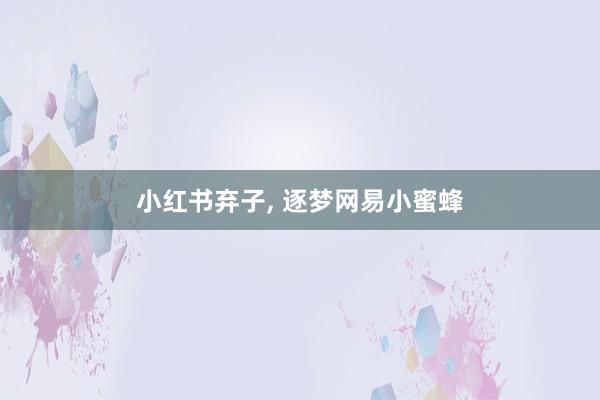 小红书弃子, 逐梦网易小蜜蜂