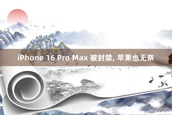 iPhone 16 Pro Max 被封禁, 苹果也无奈