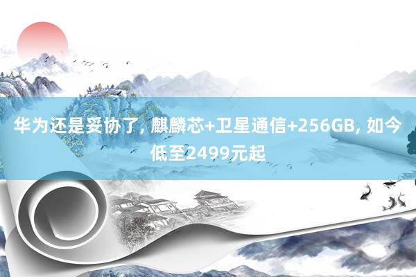 华为还是妥协了, 麒麟芯+卫星通信+256GB, 如今低至2499元起