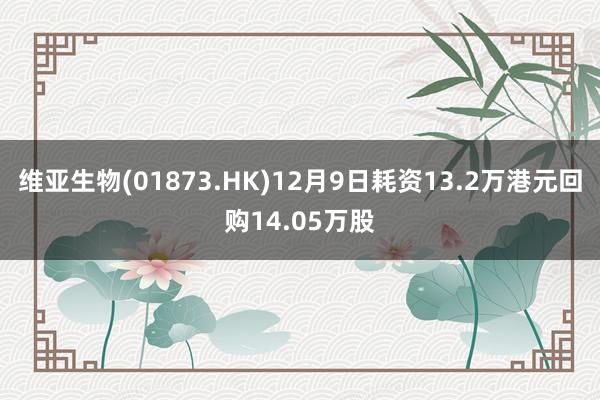 维亚生物(01873.HK)12月9日耗资13.2万港元回购14.05万股