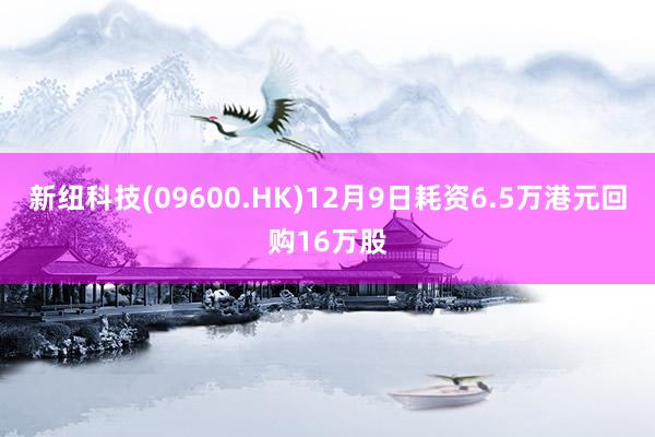 新纽科技(09600.HK)12月9日耗资6.5万港元回购16万股