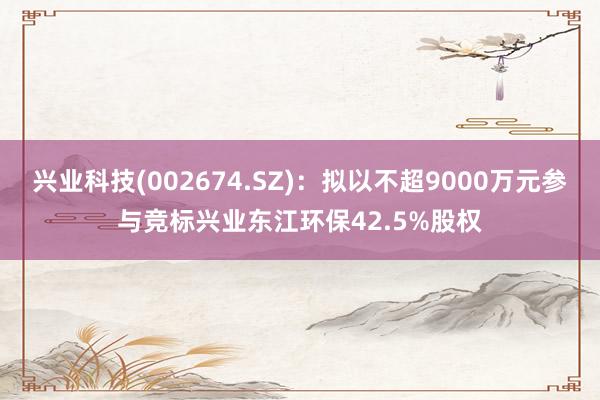 兴业科技(002674.SZ)：拟以不超9000万元参与竞标兴业东江环保42.5%股权