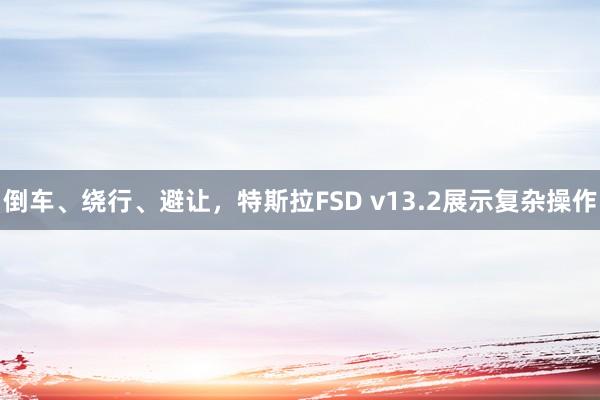 倒车、绕行、避让，特斯拉FSD v13.2展示复杂操作