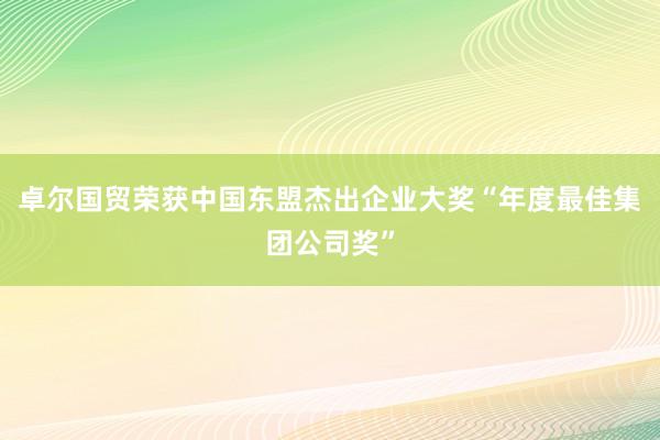 卓尔国贸荣获中国东盟杰出企业大奖“年度最佳集团公司奖”