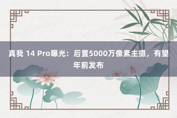 真我 14 Pro曝光：后置5000万像素主摄，有望年前发布