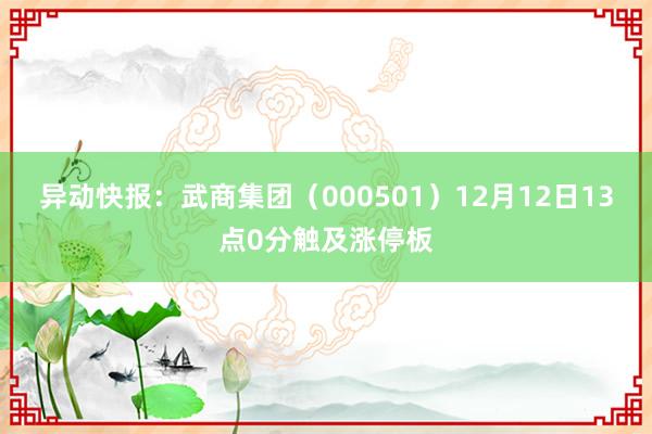 异动快报：武商集团（000501）12月12日13点0分触及涨停板