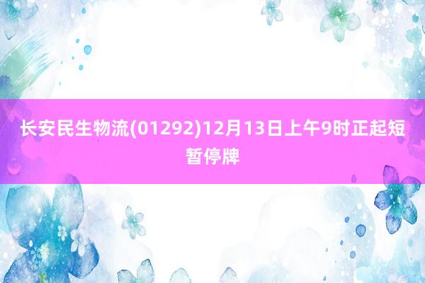 长安民生物流(01292)12月13日上午9时正起短暂停牌